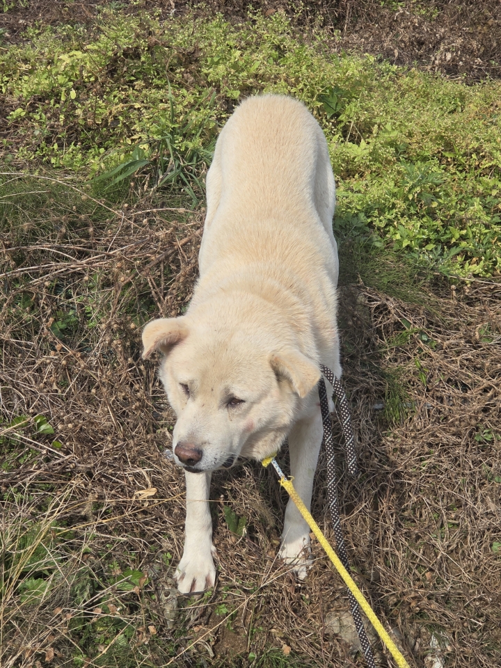 최종주동물병원_443444202500460